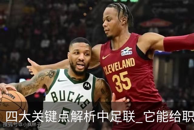 四大关键点解析中足联 它能给职业联赛带来哪些改变?